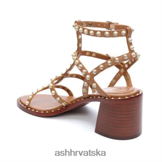 sandale žene ASH 46RP0B37 jen sandala s blok petom s nitnama novi cimet