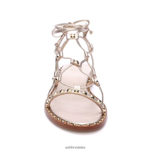 sandale žene ASH 46RP0B81 sandala paloma gladijator svijetlo zlato