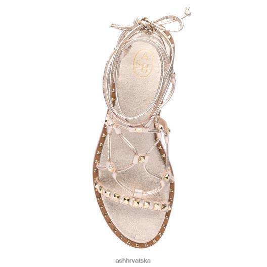 sandale žene ASH 46RP0B81 sandala paloma gladijator svijetlo zlato